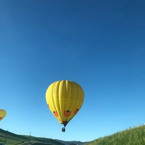 Meet your Posher, Linelle